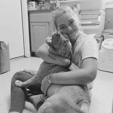 Available: Knowledgeable Dog Walker in Centreville, Maryland