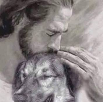 Excellent, loving, pet care desired?
