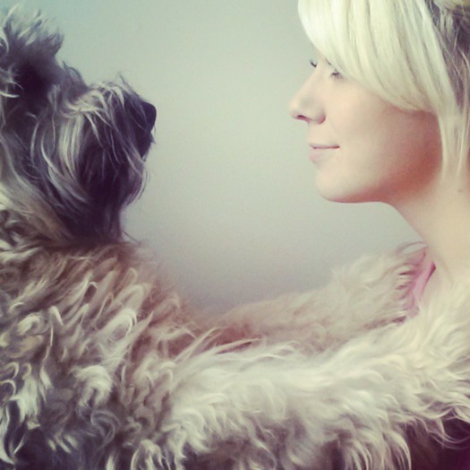 Searching for afternoon Pet Jobs near West Dundee, Illinois