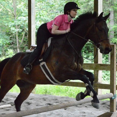 Very experienced with horse, cats, and dogs