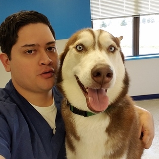 Excellent Pet Caretaker In Horsham Pa 19044