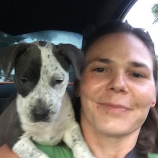 Hollow Rock Dog Walker Interviewing For Job Opportunities in Tennessee