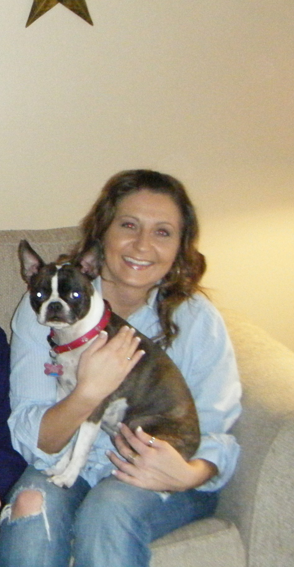 Experienced Pet Sitter Looking To Assist You