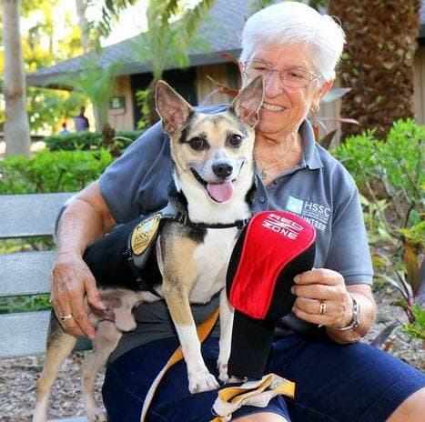 Available For Sarasota Pet Care Provider Opportunity